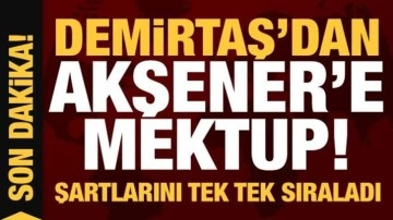Selahattin Demirtaş'tan Meral Akşener'e mektup! Şartlarını tek tek sıraladı