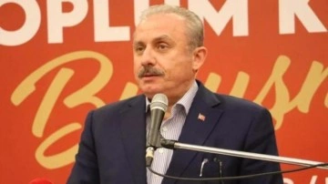 Şentop, İsve&ccedil;li mevkidaşıyla g&ouml;r&uuml;şt&uuml;: Gereğini yapın