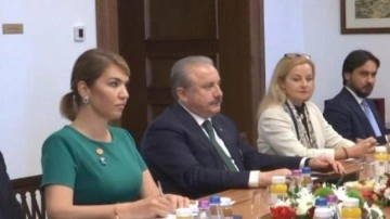 Şentop, Macaristan Başbakanı Orban ile g&ouml;r&uuml;şt&uuml;