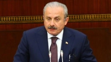 Şentop'tan Yunanistan'ın 'Pontus' iddialarına sert cevap