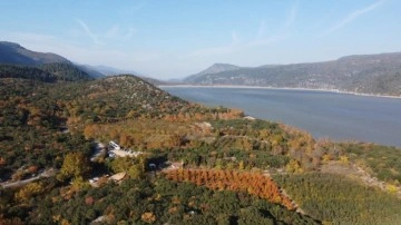 Sıcaklıklar arttı, yangınlara karşı ormanlara giriş yasağı getirildi