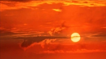 Sıcaklıktan ölüm rekoru! BM vahim tabloyu açıkladı