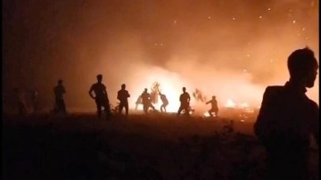 Siirt'te fıstık bah&ccedil;esinde &ccedil;ıkan yangın, ormana da sı&ccedil;radı