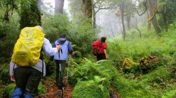 Şili'de doğa yürüyüşü yapan 5 turist fırtınada öldü, 7 kişi aranıyor!