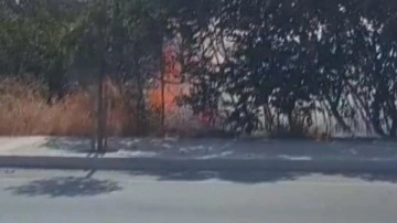 Silivri'de otluk alandaki yangın büyümeden söndürüldü
