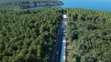Sinop'ta ormana girişler 31 Ekim'e kadar yasak!