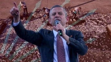 Sinop'taki balıklar için kıyameti koparan Özel, İzmir'deki balık ölümlerine sessiz kaldı