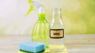 Sirkeyle asla temizlememeniz gereken 8 şey