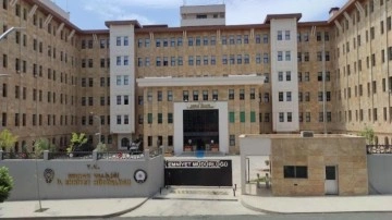 Şırnak'ta 3 PKK'lı terörist teslim oldu