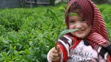 Siyah &ccedil;ayın faydaları ve zararları nelerdir? Fazla &ccedil;ay i&ccedil;menin zararları?