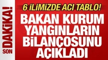 Son dakika: 6 ilimizde acı tablo! Bakan Kurum orman yangınlarının bilançosunu açıkladı
