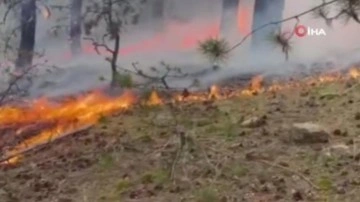 Son dakika: Ankara'da orman yangını!