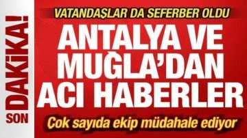 Son dakika: Antalya ve Muğla'dan peş peşe yürek yakan haberler!