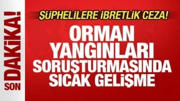 Son dakika: Bursa'da havai fişekle yangın çıkaranlara ibretlik ceza! 1 kişi tutuklandı...