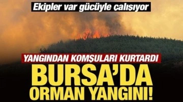 Son Dakika: Bursa'daki orman yangını kontrol altına alındı!