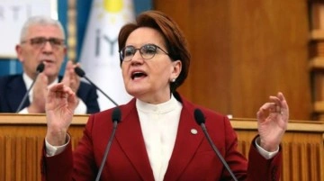 Son Dakika: İYİ Parti Genel Başkanı Meral Akşener koronavir&uuml;se yakalandı