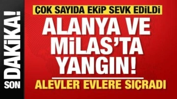 Son dakika... Alanya ve Milas'ta yürek yakan haber! Çok sayıda ekip sevk edildi!