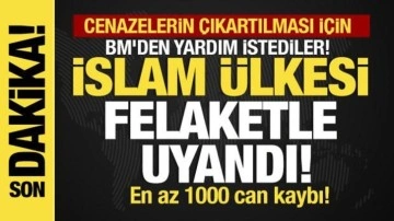 Sudan’da heyelan faciası! Bir köyü tümüyle haritadan sildi! En az 1000 ölü!