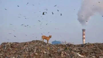 S&uuml;per bilgisayardan yeni felaket tahmini: Binlerce kişi &ouml;lecek