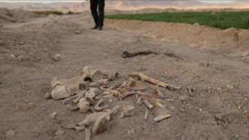 Suriye'de kan donduran manzara! İç savaşın korkunç yüzü görüntülendi