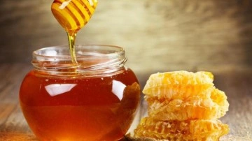 TAB maliyetleri açıkladı: 1 KG balın maliyeti üreticiye 325 TL!