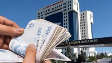 Tarım ve Orman Bakanlığı duyurdu: Üreticilere hayvan başına 18 bin TL'ye kadar destek!