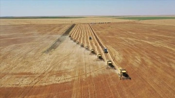 Tarımda yeni d&ouml;nem! 2026' da başlayacak: Parsel bazlı sigorta geliyor...