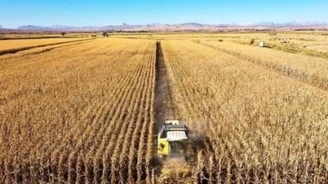 Tarımsal kuraklık nedir? Hidrolojik kuraklık nedir?  T&uuml;rkiye'de tarımsal kuraklık...