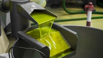 Tariş'ten zeytinyağına y&uuml;zde 35 zam kararı