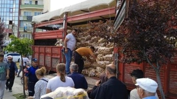 Tarlasında yetiştirdiği 20 ton patatesi vatandaşa dağıttı
