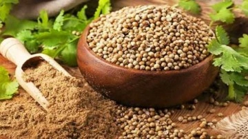 Taze kişniş otu nasıl t&uuml;ketilir, faydaları nelerdir? Kişniş &ccedil;ayı nasıl yapılır?