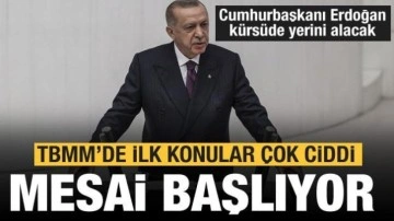 TBMM a&ccedil;ılıyor! İlk mesainin konusu da belli oldu