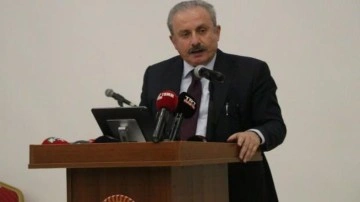 TBMM Başkanı Şentop, Arnavutluk Milli G&uuml;n&uuml;'n&uuml; kutladı
