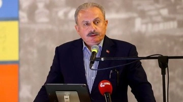 TBMM Başkanı Şentop&rsquo;tan 25 kişiyi &ouml;ld&uuml;rd&uuml;m diyen Prens Harry'ye tepki