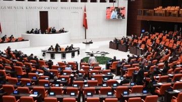 TBMM engellilerin sorunlarını araştıracak