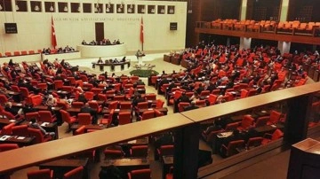 TBMM Genel Kurulu'nda 'ayı' tartışması