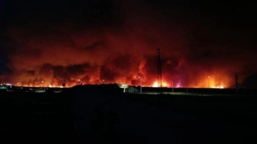 Tekirdağ alev alev! Orman yangın büyüdü, yerleşim yerlerine sıçradı