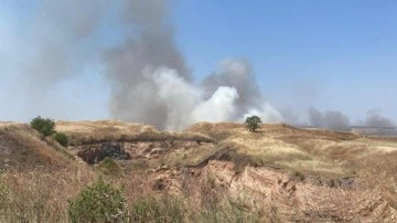 Tekirdağ'da 70 dönüm buğday tarlası yandı