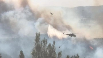 Tekirdağ'da orman yangınına havadan ve karadan müdahale sürüyor