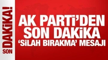 Terör örgütü silahları ne zaman bırakacak? AK Partili Ala'dan açıklama!