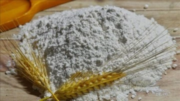 TİGEM 2 bin ton buğday satacak