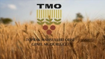 TMO, ürün bedeli olarak yaklaşık 3,6 milyar lirayı üreticilerin hesaplarına yatırdı