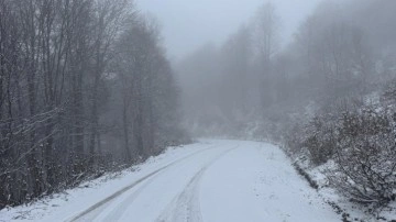 Tokat'ın yüksek kesimleri beyaza büründü