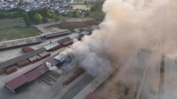 Tuğla fabrikasında yangın