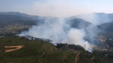 Tunceli'de çıkan örtü yangını söndürüldü