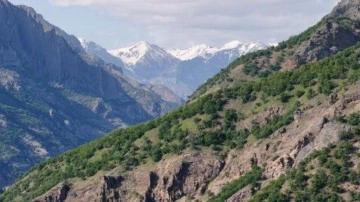 Tunceli’de mantar toplarken kaybolan kişiden acı haber