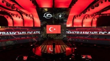 T&uuml;rk Takımı Denizbank İstanbul Wildcats, D&uuml;nya Kupasında 1.3 milyon TL kazandı