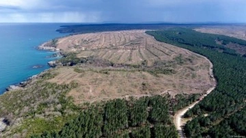 Türkiye'nin büyük sorununu çözecek 2 tesis! Kanada ile imzalar atıldı
