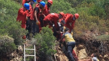 Türkiye ormanları için yangınlarda gönüllü çalışan Tunuslu öğrenci yaralandı