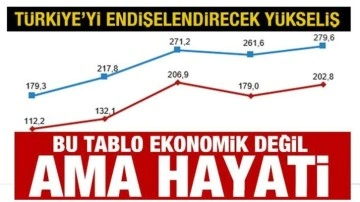 Türkiye'yi korkutan yükseliş! Bu tablo ekonomik değil ama 'hayati'